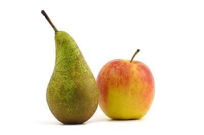 Fruit Myngheer
